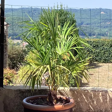 Charming House With Panoramic View In Domme-sarlat Сasa de vacaciones Domme